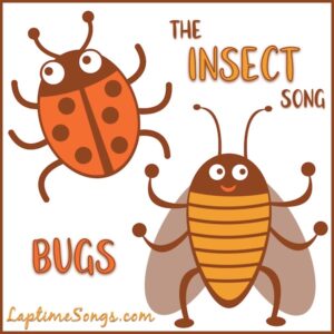 The insect song with a ladybug and a fly from Laptimesong dot com